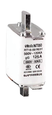 125A DC Fuse
